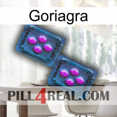 Goriagra 03